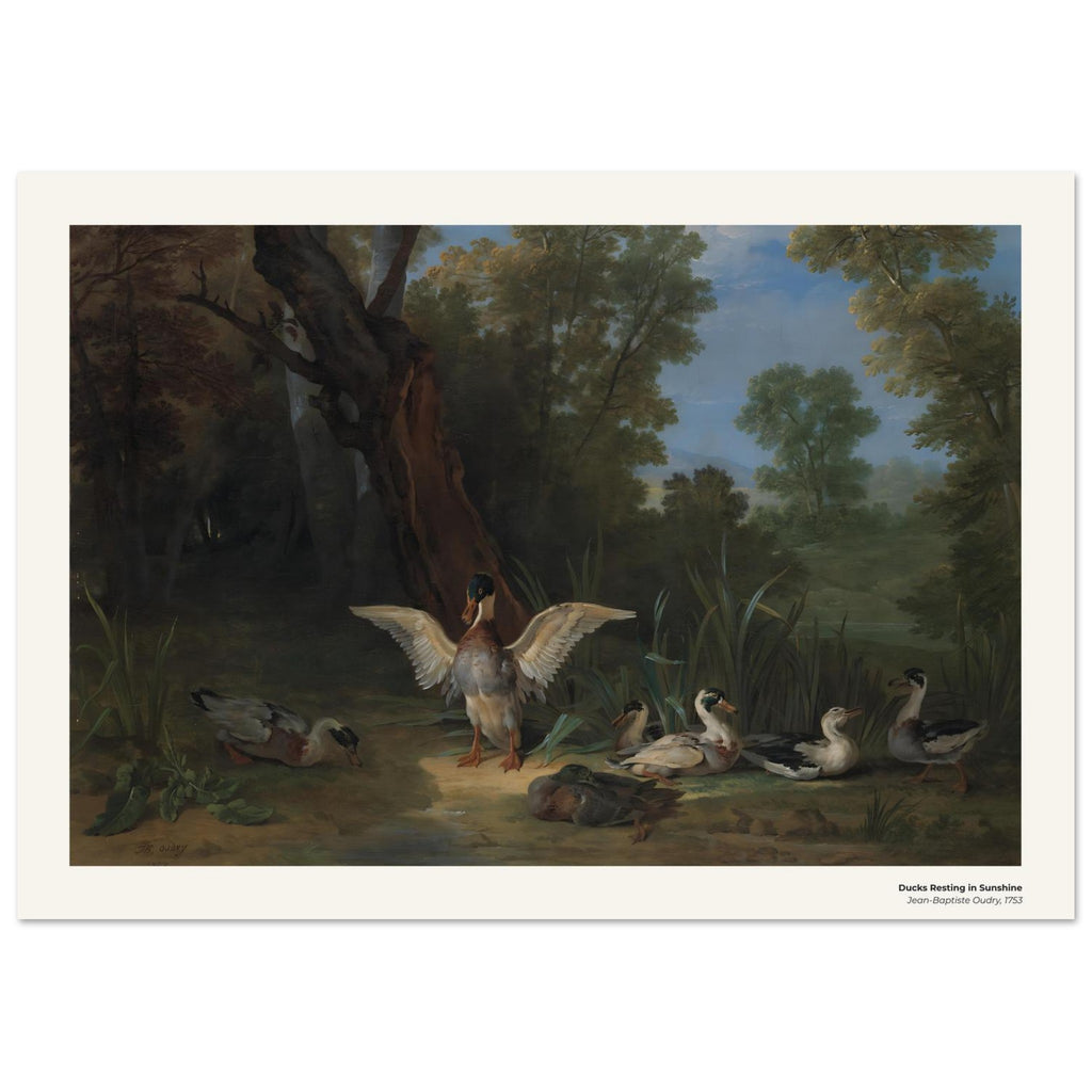 Canards se reposant au soleil – Jean-Baptiste Oudry, détail de la reproduction