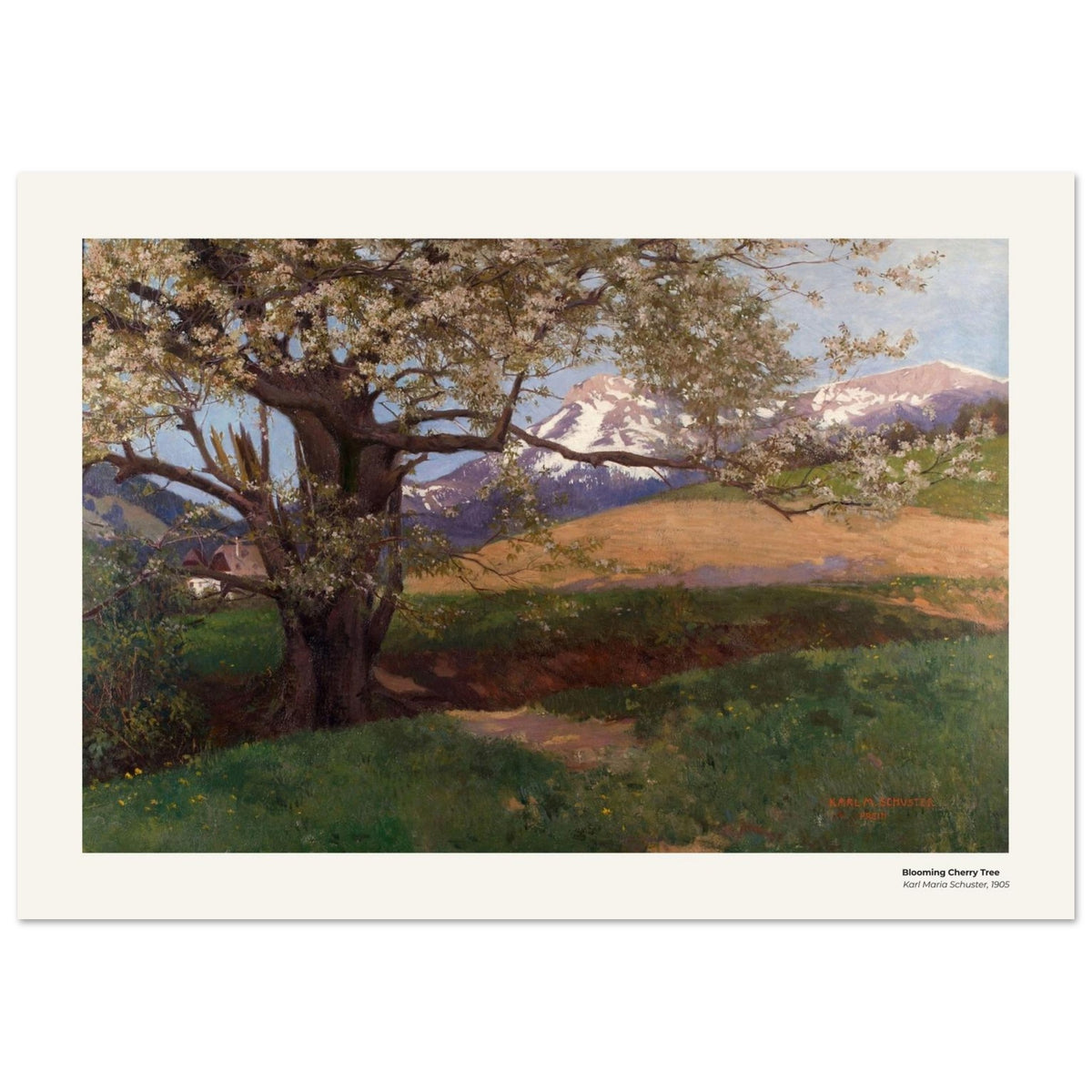 Cerisier en fleurs – Karl Maria Schuster, reproduction d'art