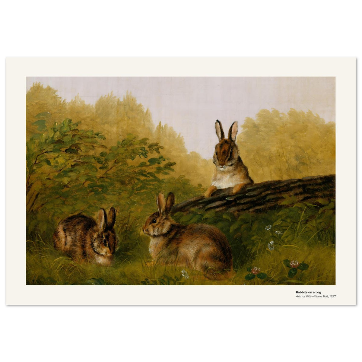 Lapins sur une bûche – Arthur Fitzwilliam Tait, détail de la reproduction
