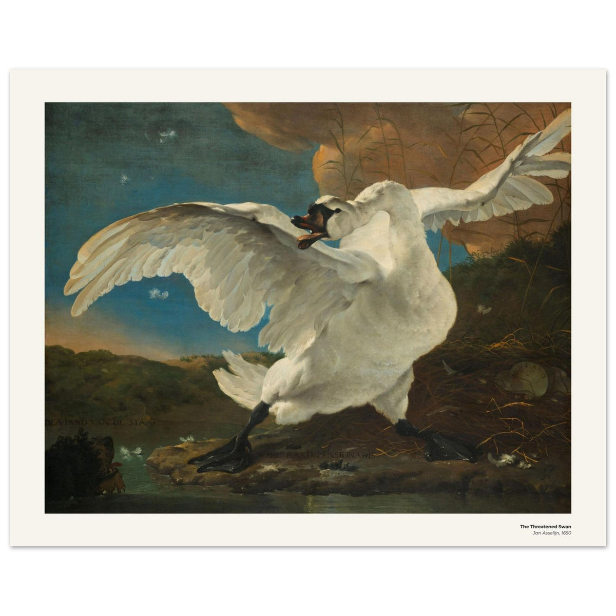 Le Cygne menacé – Jan Asselijn, reproduction d'art