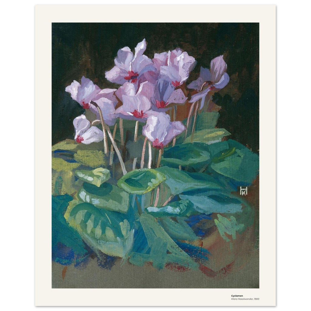 Cyclamens – Klara Hasslwander, reproduction d'art