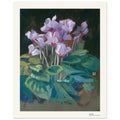 Cyclamens – Klara Hasslwander, reproduction d'art