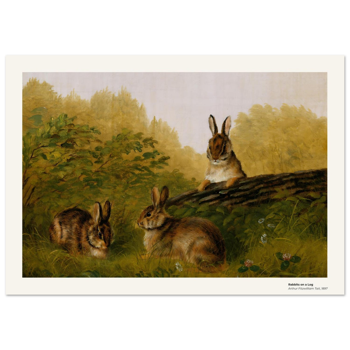 Lapins sur une bûche – Arthur Fitzwilliam Tait, détail de la reproduction