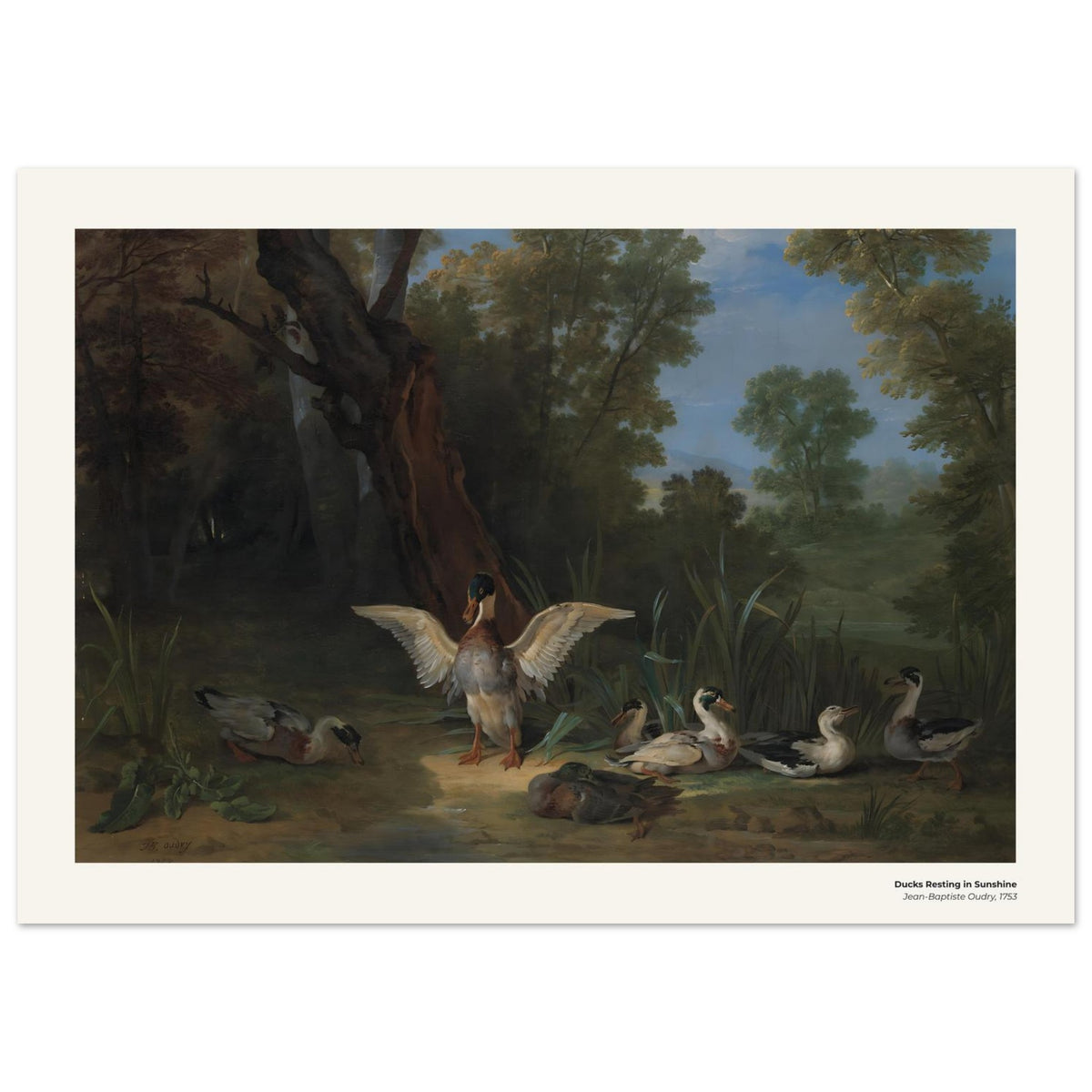 Canards se reposant au soleil – Jean-Baptiste Oudry, détail de la reproduction
