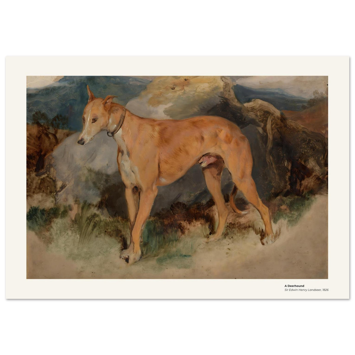 Un deerhound – Edwin Landseer, reproduction d'art
