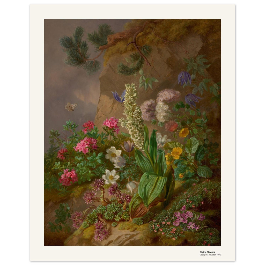 Fleurs alpines – Joseph Schuster, reproduction d'art
