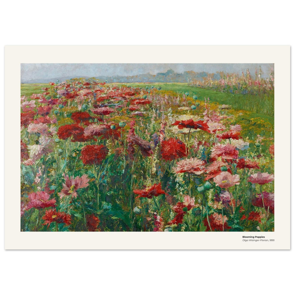 Pavots en fleurs – Olga Wisinger-Florian, reproduction d'art