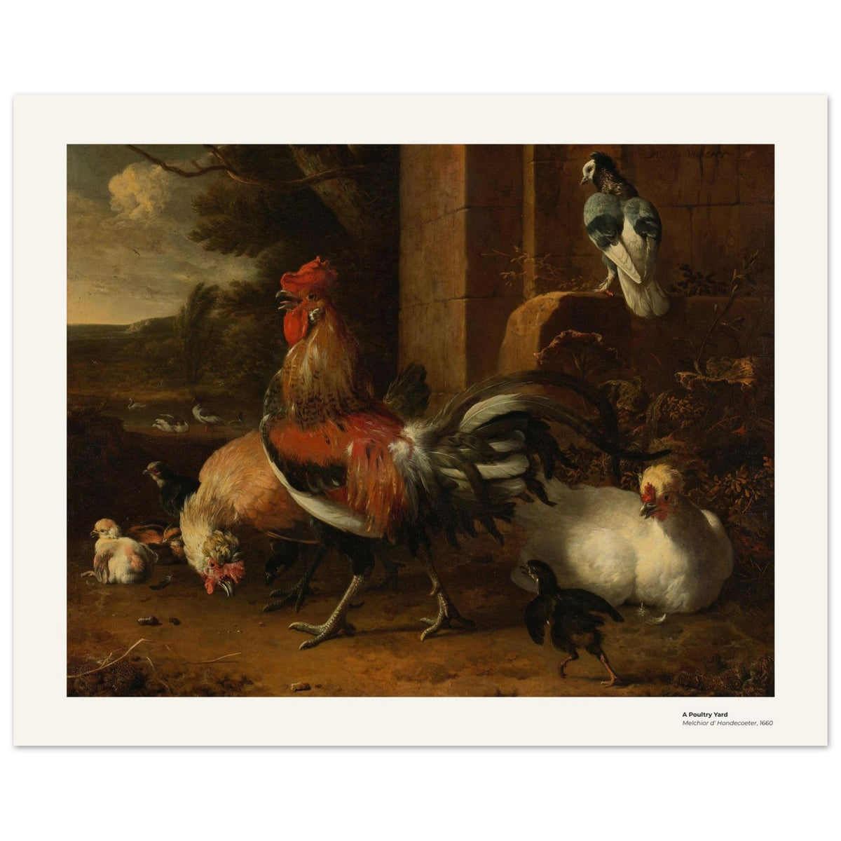 Une basse-cour – Melchior d'Hondecoeter, détail de la reproduction