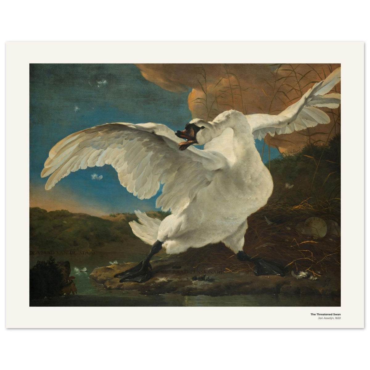Le Cygne menacé – Jan Asselijn, détail de la reproduction