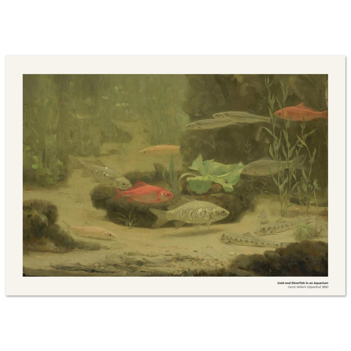 Poissons rouges et argentés dans un aquarium – Gerrit Willem Dijsselhof, détail de la reproduction