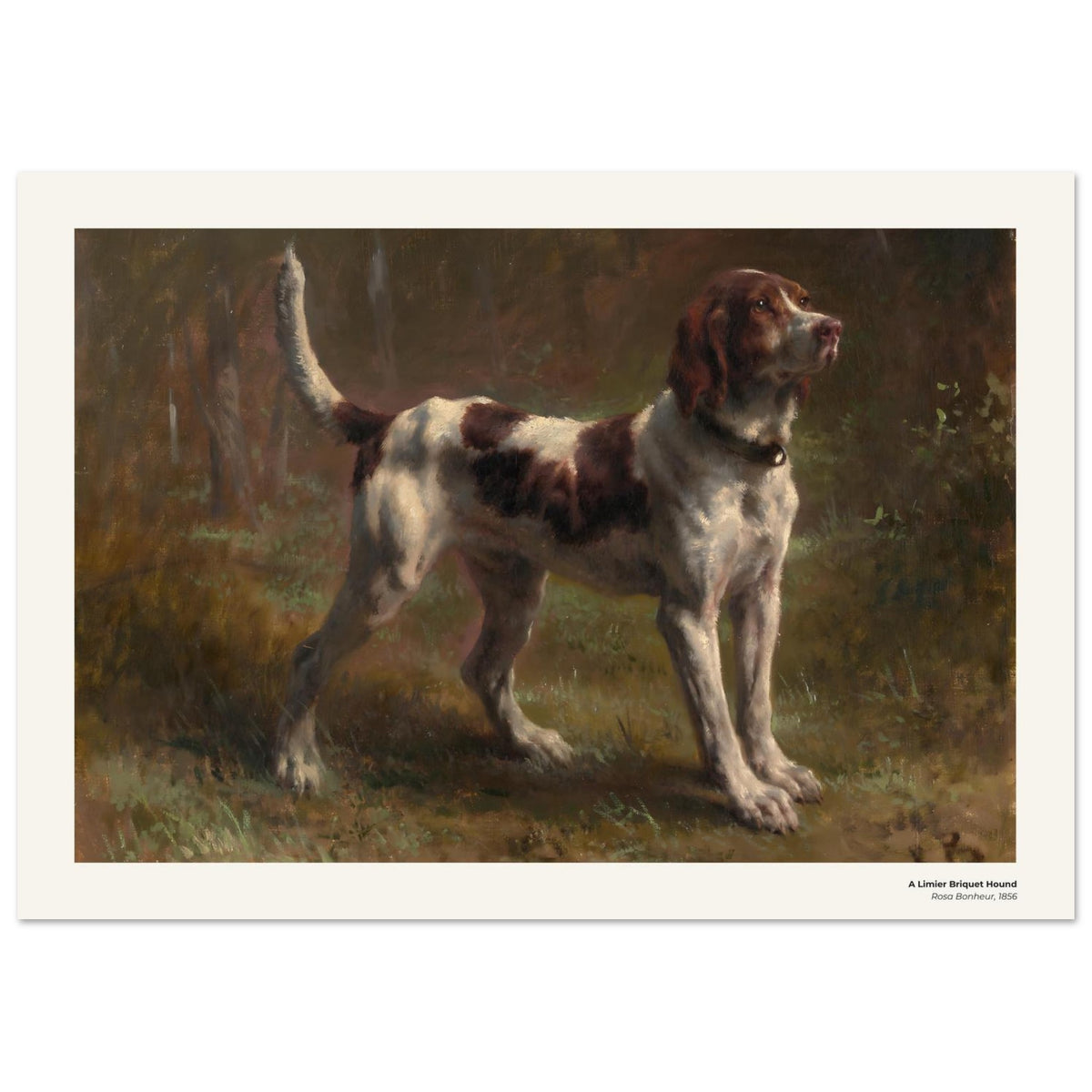 Un limier briquet – Rosa Bonheur, détail de la reproduction