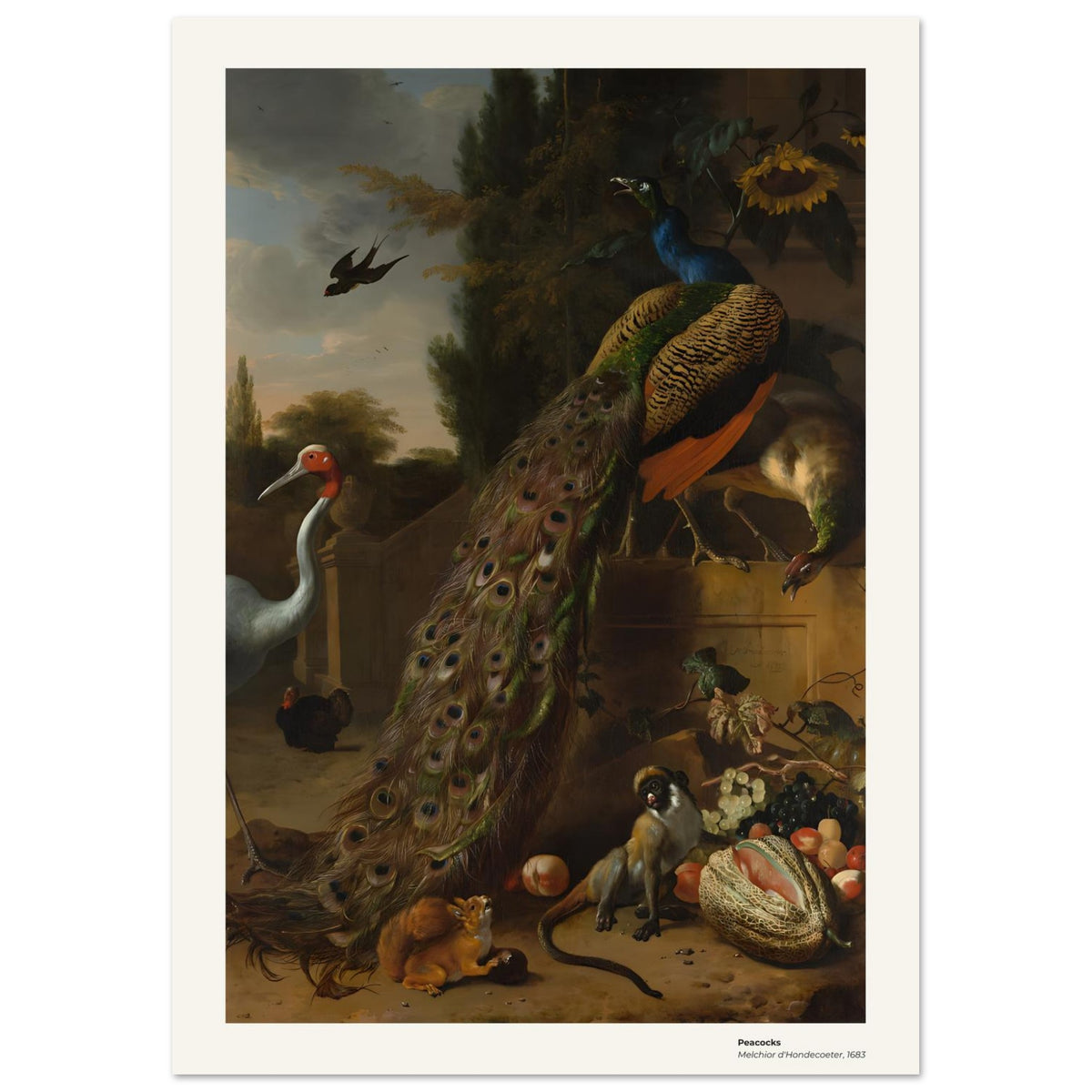 Paon – Melchior d'Hondecoeter, détail de la reproduction