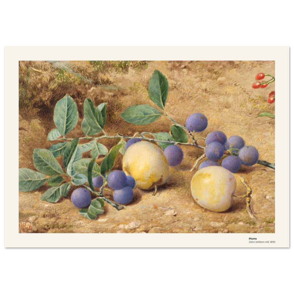 Prunes – John William Hill, détail de la reproduction