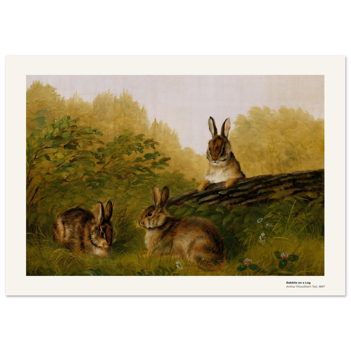 Lapins sur une bûche – Arthur Fitzwilliam Tait, reproduction d'art