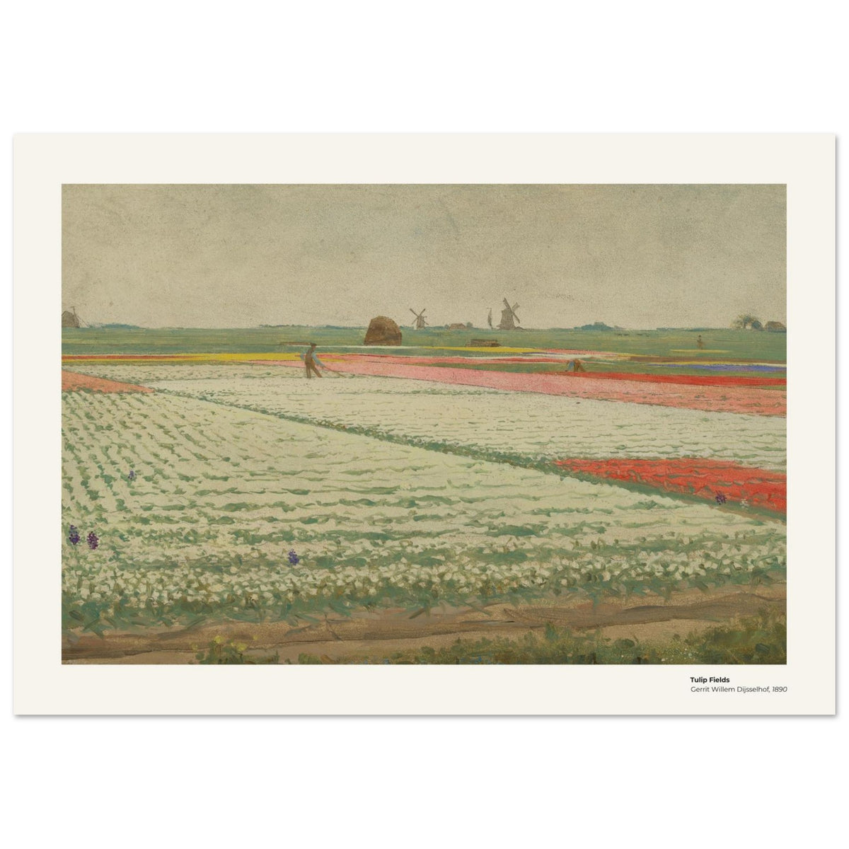 Champs de tulipes – Gerrit Willem Dijsselhof, détail de la reproduction