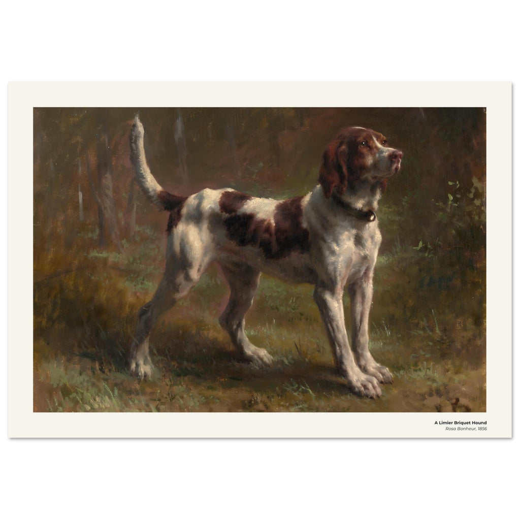 Un limier briquet – Rosa Bonheur, détail de la reproduction
