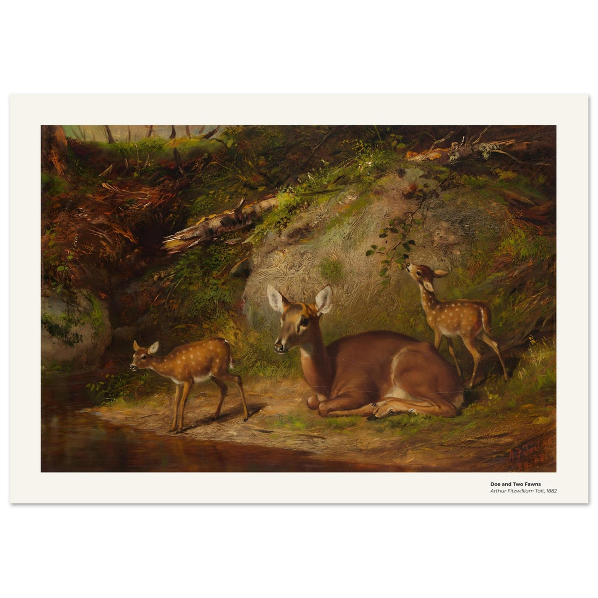 Une biche et deux faons – Arthur Fitzwilliam Tait, détail de la reproduction